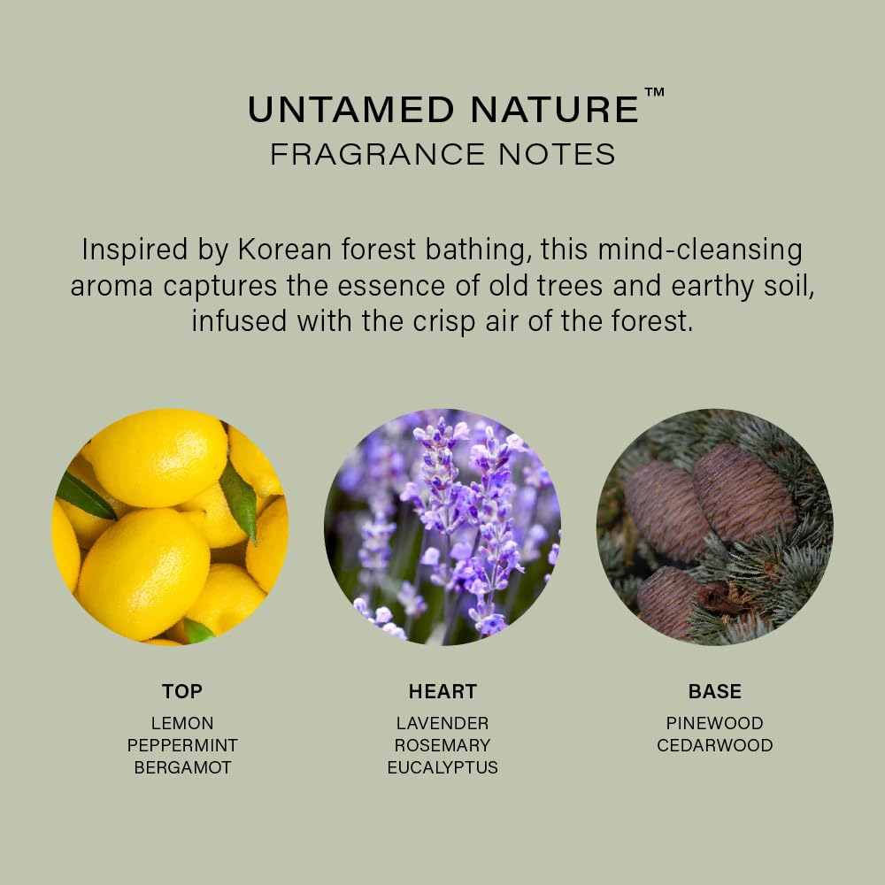 Melixir Vegan Hand Cream – Untamed Nature, Calming Forest Scent, 50 ml