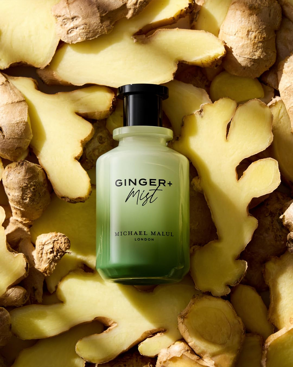 Michael Malul Ginger + Mist Eau de Parfum for Men – 100ml | Fresh Ginger & Mist