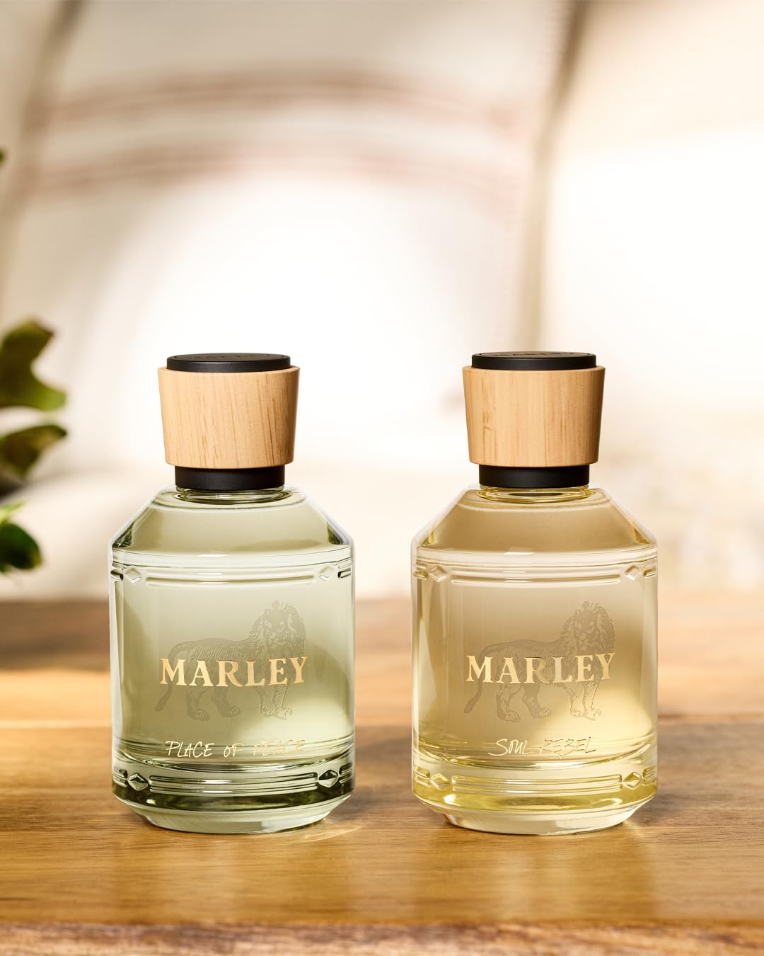 Michael Malul Marley Soul Rebel 100ml EDP | Bold, Radiant Fragrance