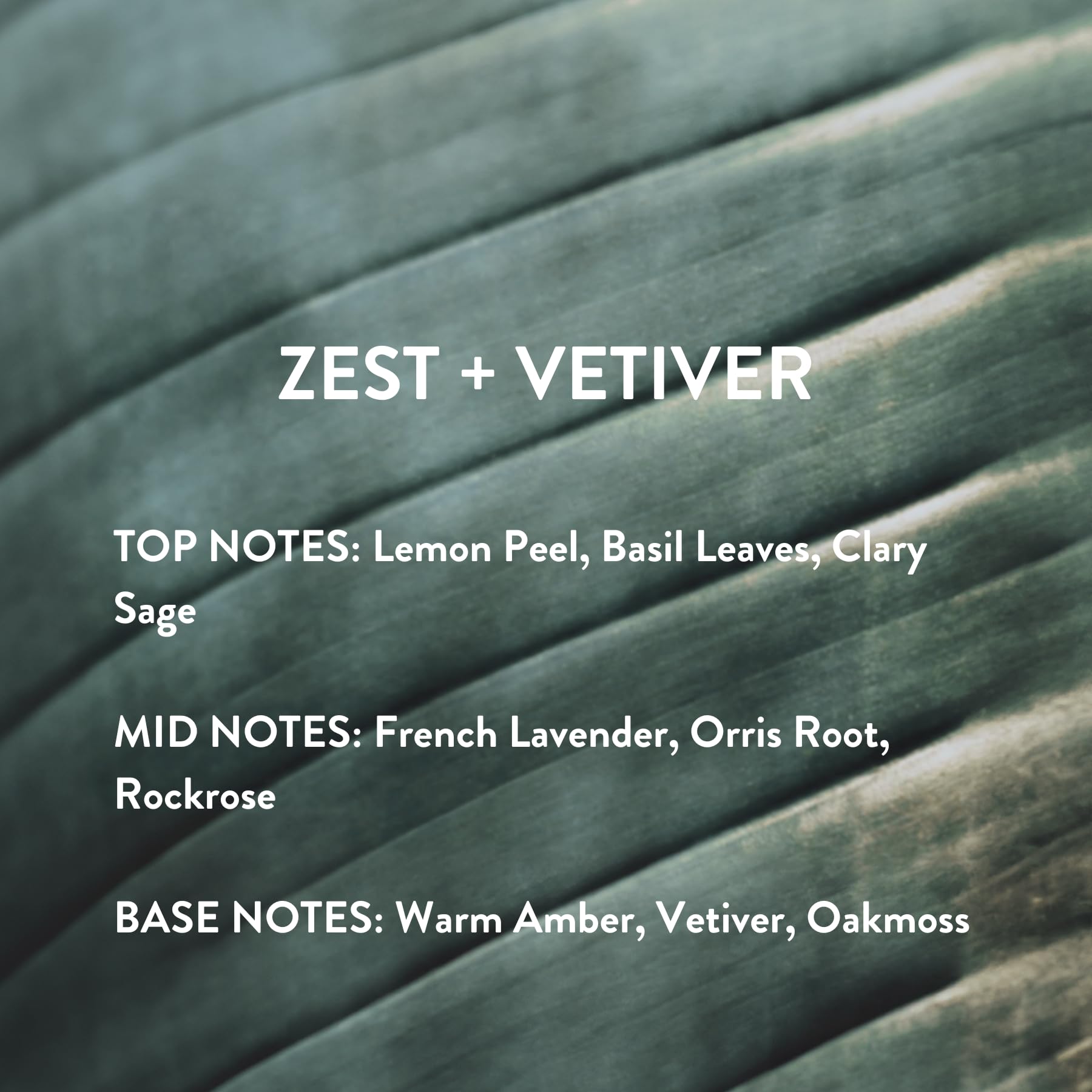 Michael Malul Zest + Vetiver 10ml Travel Size – Citrusy Vetiver Fragrance