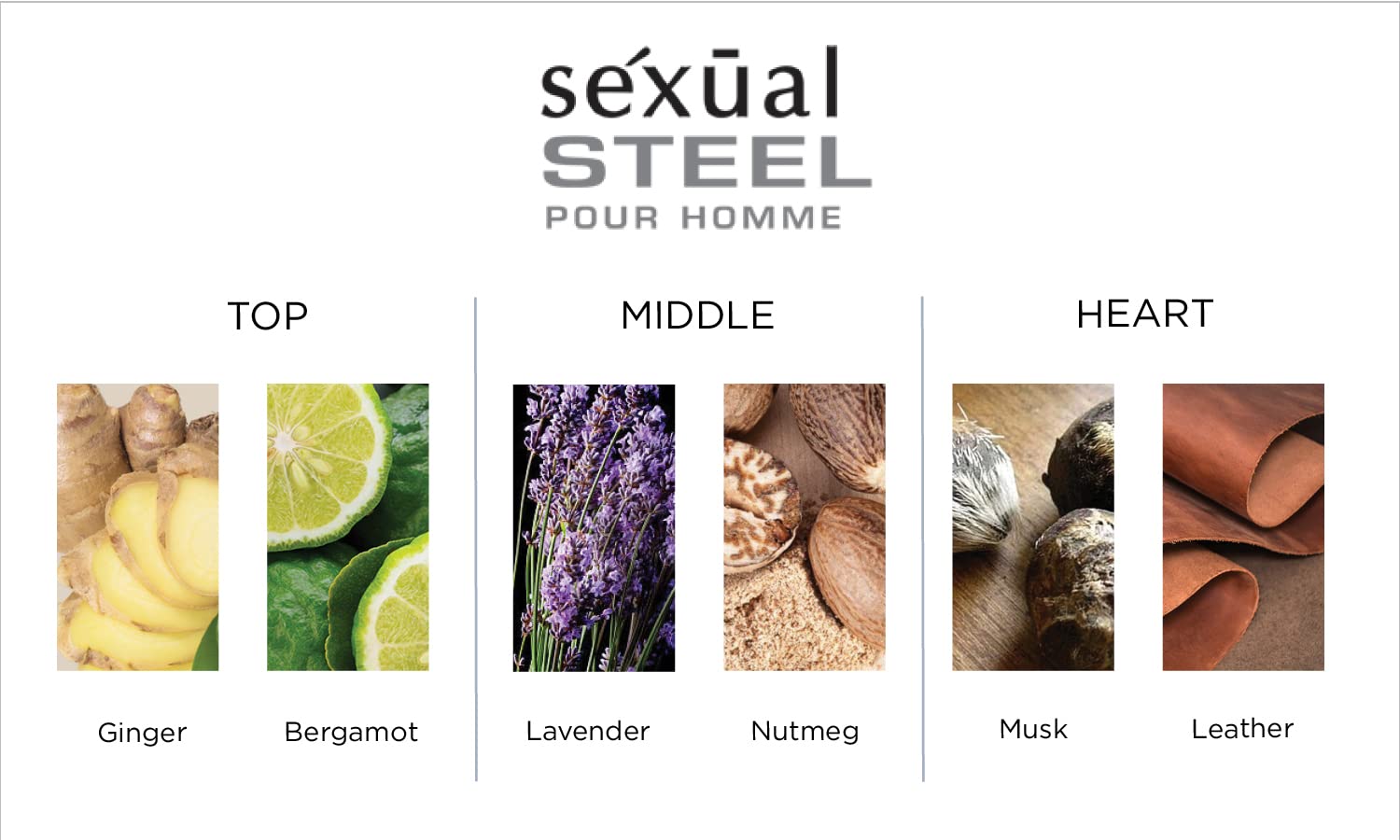 Michel Germain Sexual Steel Pour Homme Eau de Toilette – Fresh Fougere, Ginger & Bergamot
