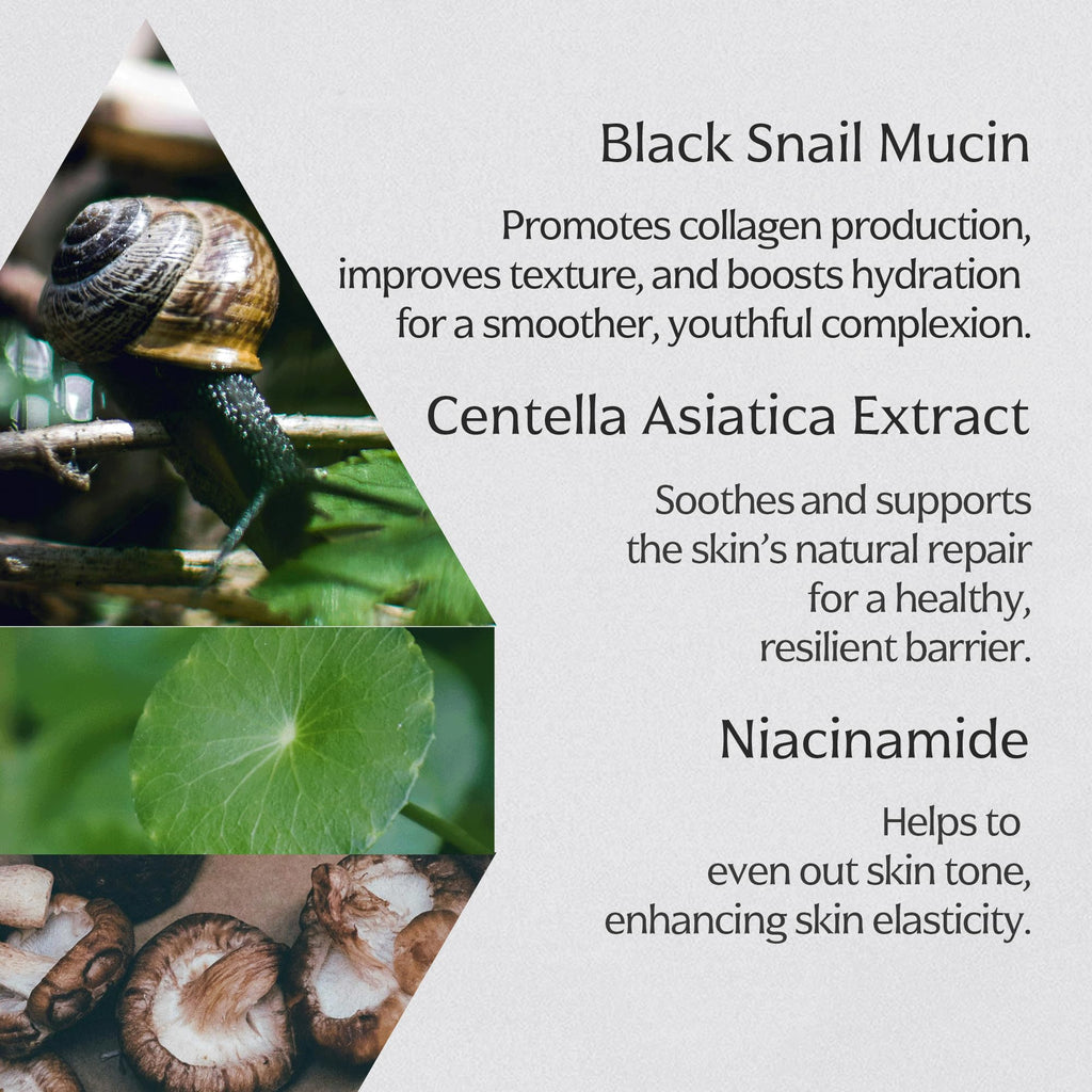 MIZON Black Snail All In One Cream – Intensive Snail Mucin Moisturizer 2.54 fl oz