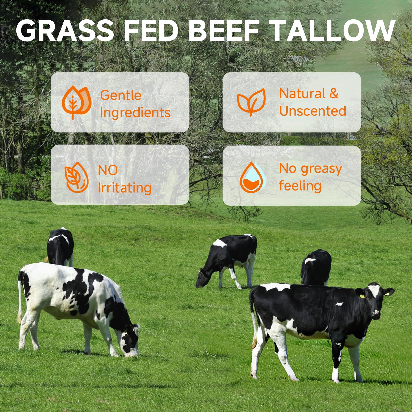 MKZEA Tallow Sunscreen – Reef Safe Travel Sunblock for Face & Body, Grass-Fed Natural, 2-Pack