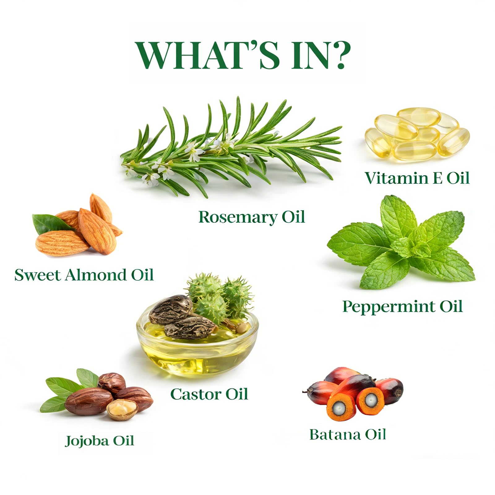MMPANG Rosemary Oil for Hair Growth – USDA Certified Cold-Pressed with Castor & Peppermint, 4 FL OZ