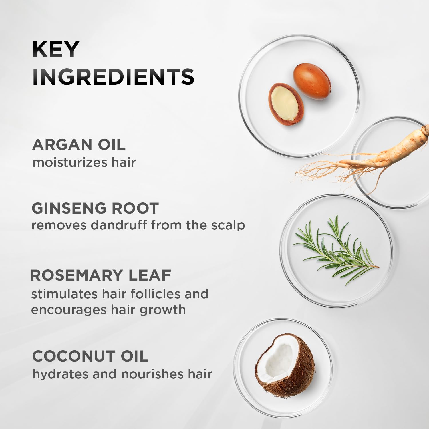 MOEHAIR Hair Guard Conditioner | Strengthens Roots & Follicles | Moisturizing Formula with Vitamin E, Argan Oil & Ginseng | Paraben & Sulfate Free | 12 Fl. Oz