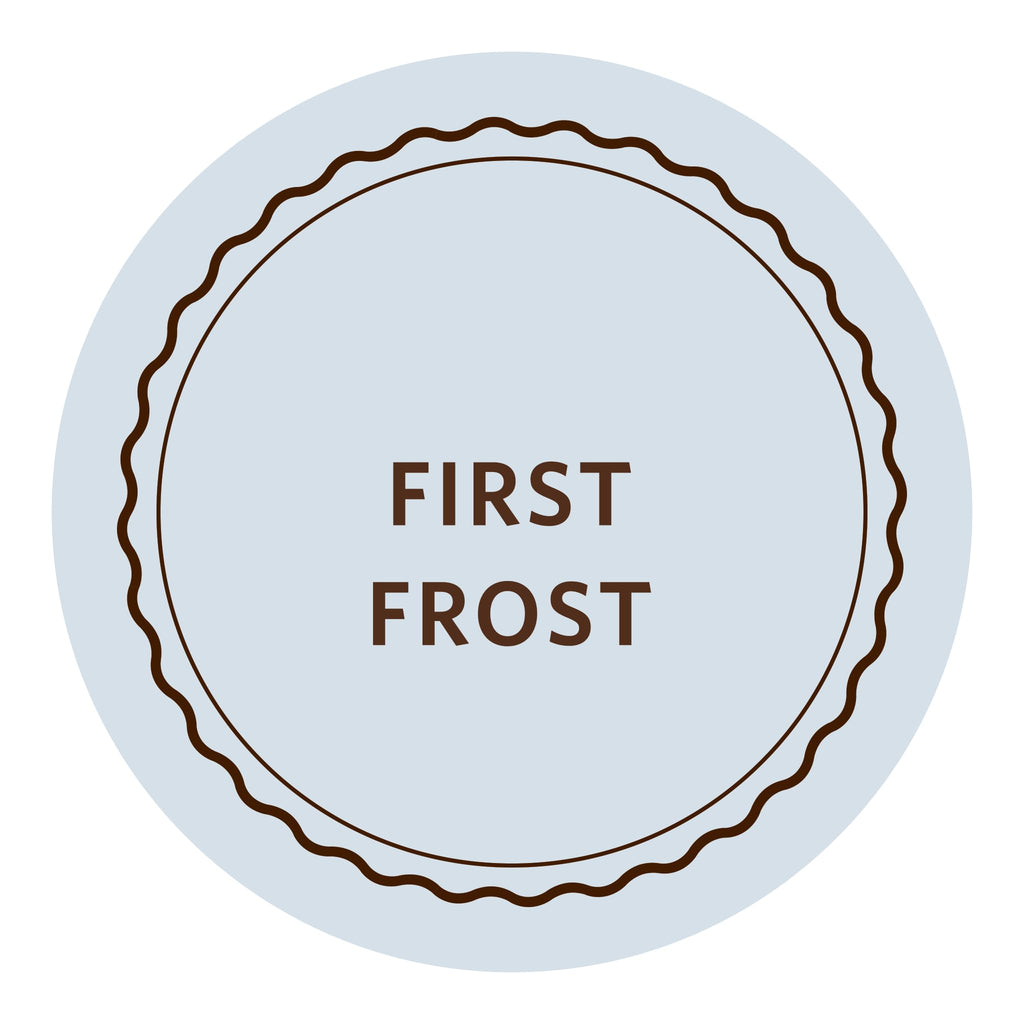 Moon Valley Organics Herbal Foaming Hand Soap – First Frost, Vegan, Recyclable Bottle (2-Pack)