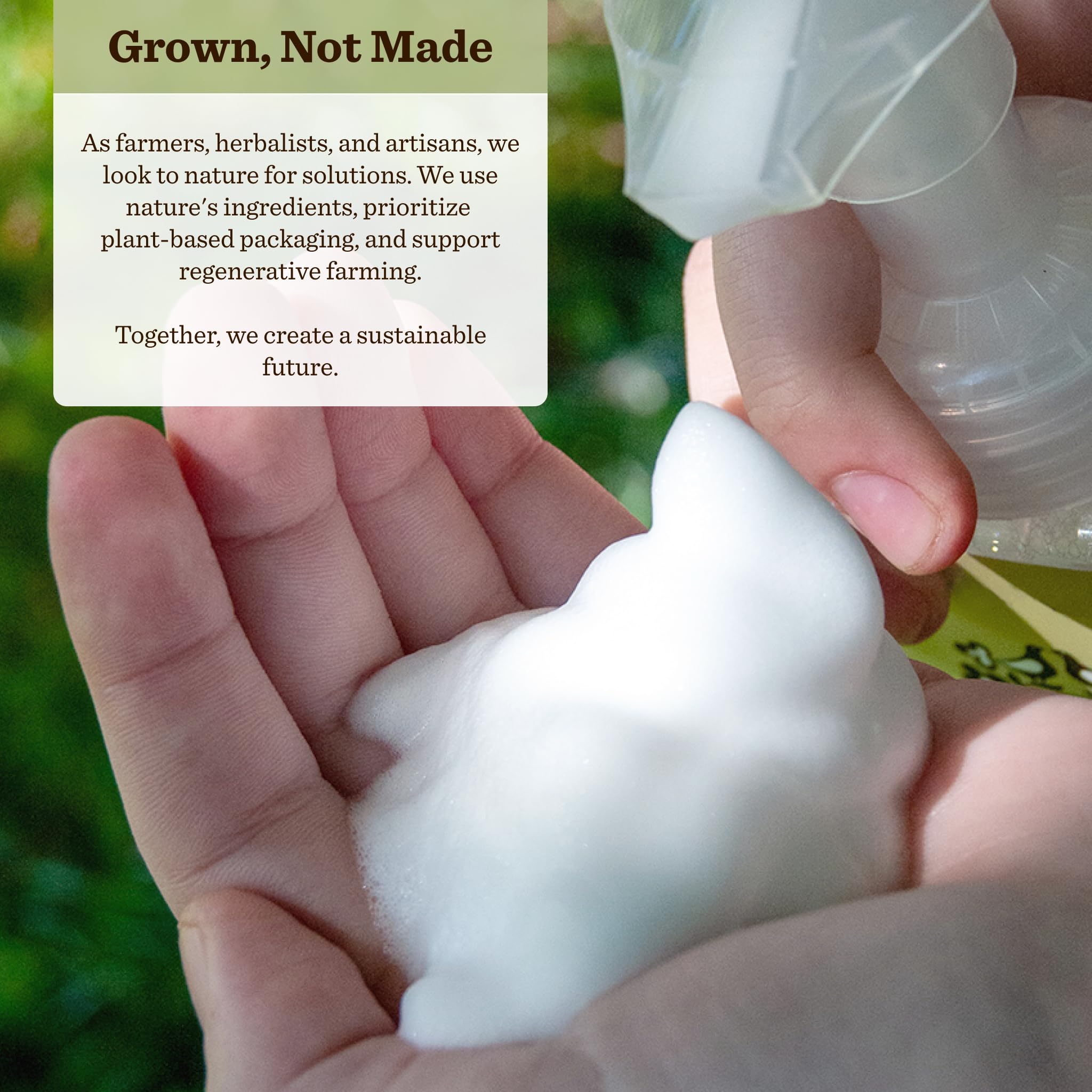 Moon Valley Organics Siberian Fir Foaming Hand Soap – Two-Pack, Vegan, Organic, Recyclable Bottles