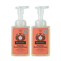 Moon Valley Organics Herbal Foaming Hand Soap – Candy Cane, Vegan & Recyclable Bottle (Two-Pack)