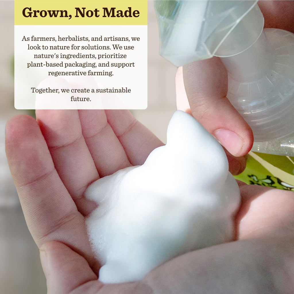 Moon Valley Organics Lemon Rosemary Foaming Hand Soap – Two Pack, Vegan & Recyclable Bottles