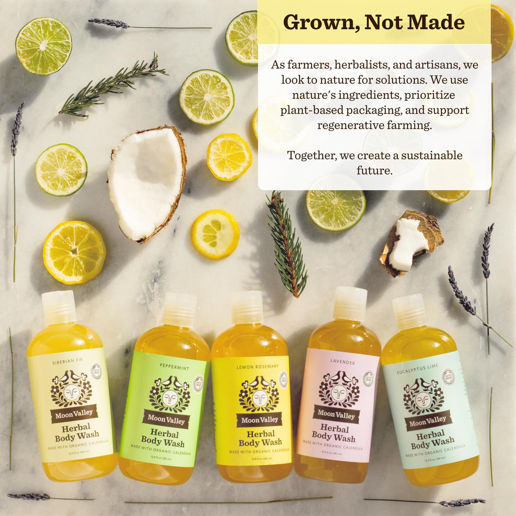 Moon Valley Organics Lemon Rosemary Herbal Body Wash – All Natural, Vegan, Two Pack