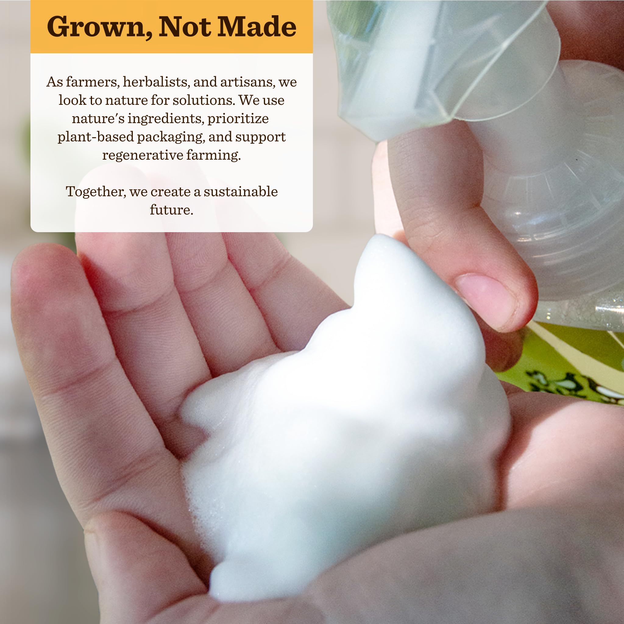 Moon Valley Organics Orange Spice Foaming Hand Soap – 2-Pack, Vegan & Recyclable Bottles