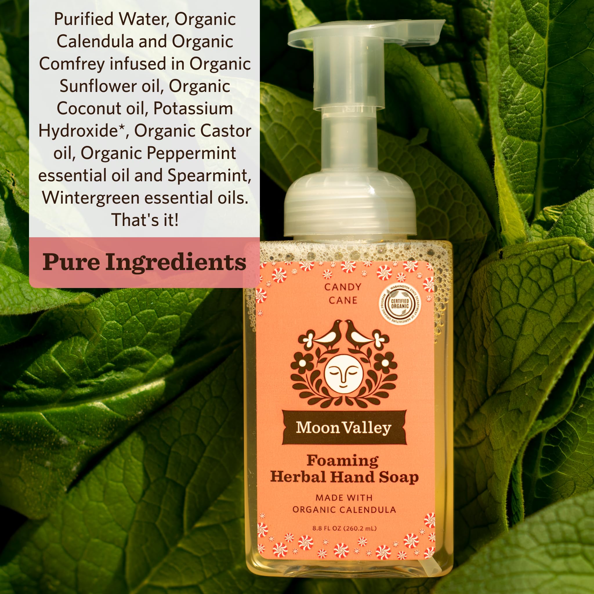 Moon Valley Organics Herbal Foaming Hand Soap – Candy Cane, Vegan & Recyclable Bottle (Two-Pack)