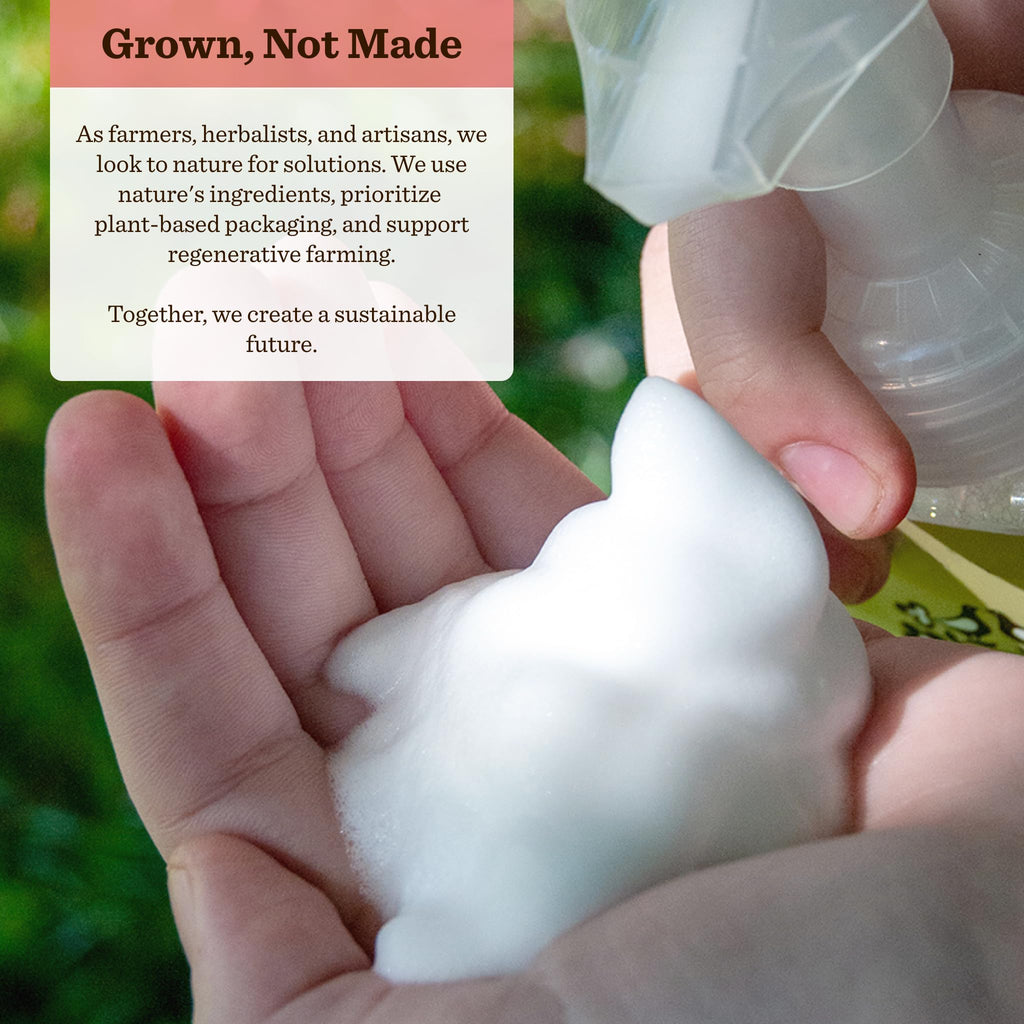 Moon Valley Organics Herbal Foaming Hand Soap – Candy Cane, Vegan & Recyclable Bottle (Two-Pack)