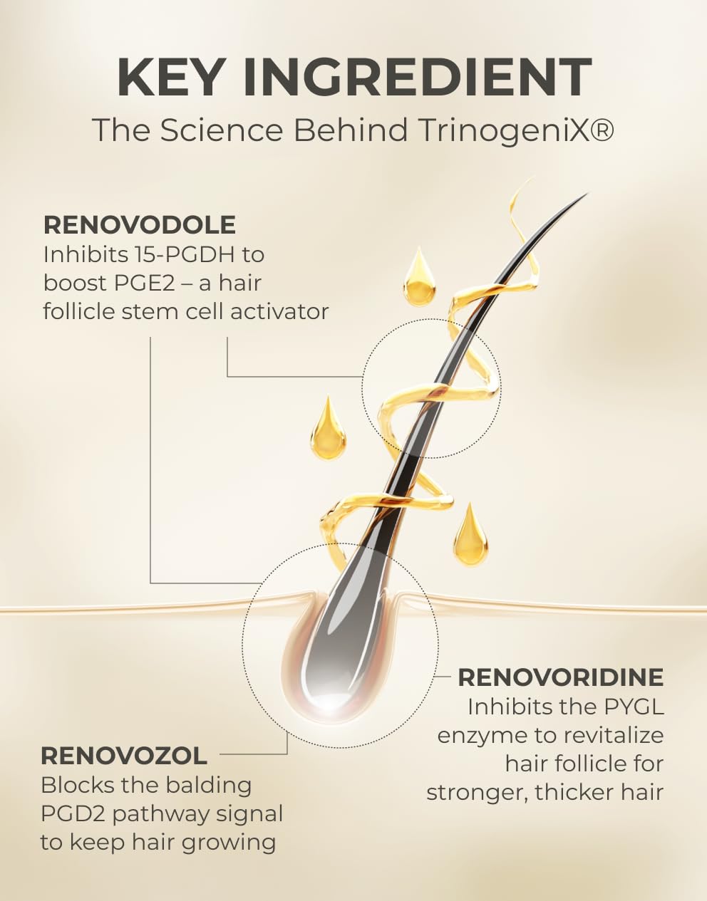 Motifull Hair Boosting Ampoule Tonic | Scalp Serum for Hair Thinning & Regrowth | 0.51 fl oz