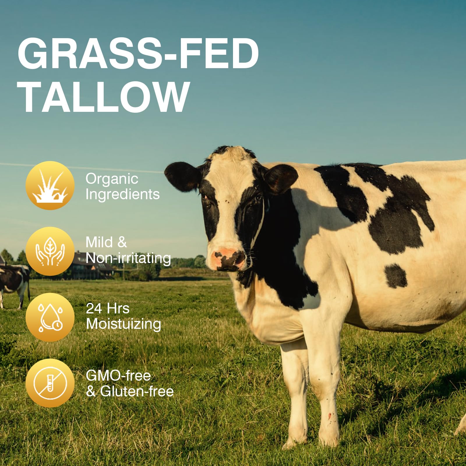 MROUVIK Beef Tallow Balm – Grass-Fed Skin Moisturizer (2.5oz)