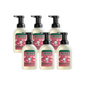 Mrs. Meyer's Clean Day Foaming Hand Soap Watermelon Scent – 10 fl oz (Pack of 6)