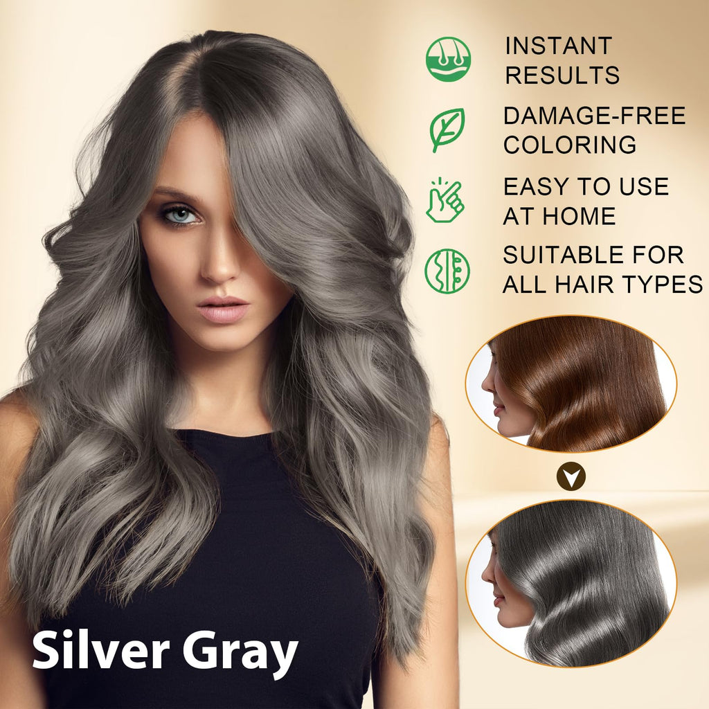 Msktasy At-Home Hair Dye Shampoo in Silver Gray | 3-in-1 Root-to-Tip Color & Care