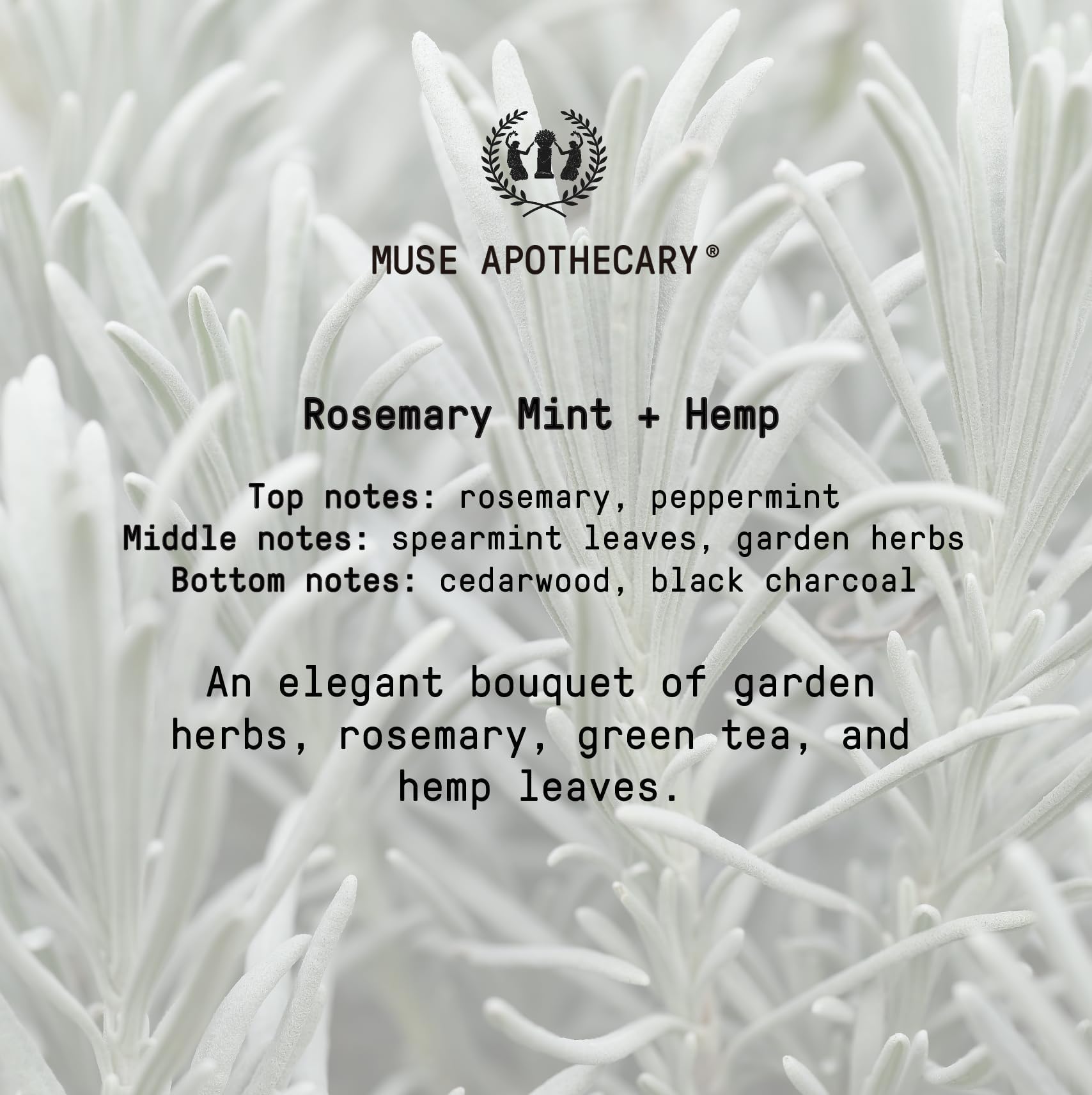 Muse Apothecary Hand Ritual – Aromatic Hand Soap with Rosemary Mint & Hemp (USDA Biobased, 16 oz, 3-Pack)