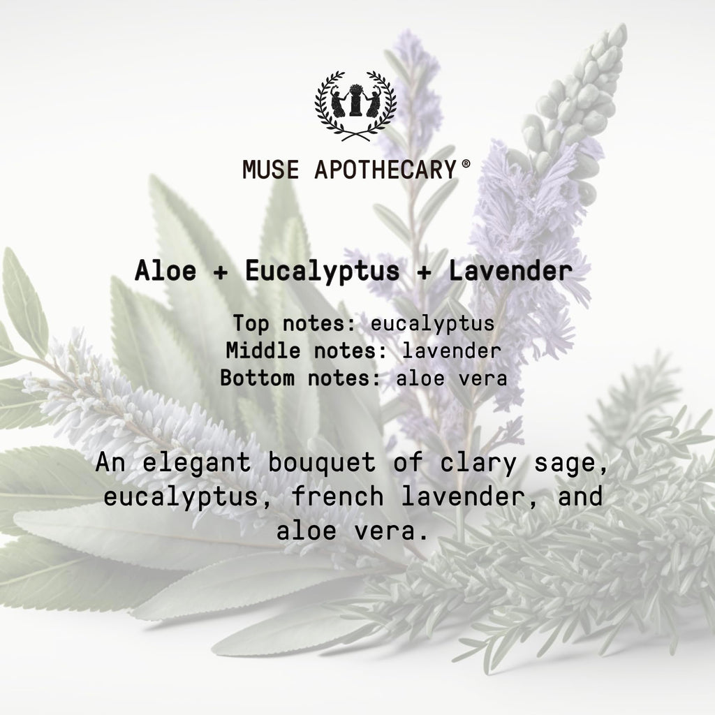 Muse Apothecary Hand Ritual – Aromatic Nourishing Hand Soap, Aloe, Eucalyptus & Lavender | 16 oz x3 Pack | USDA Biobased