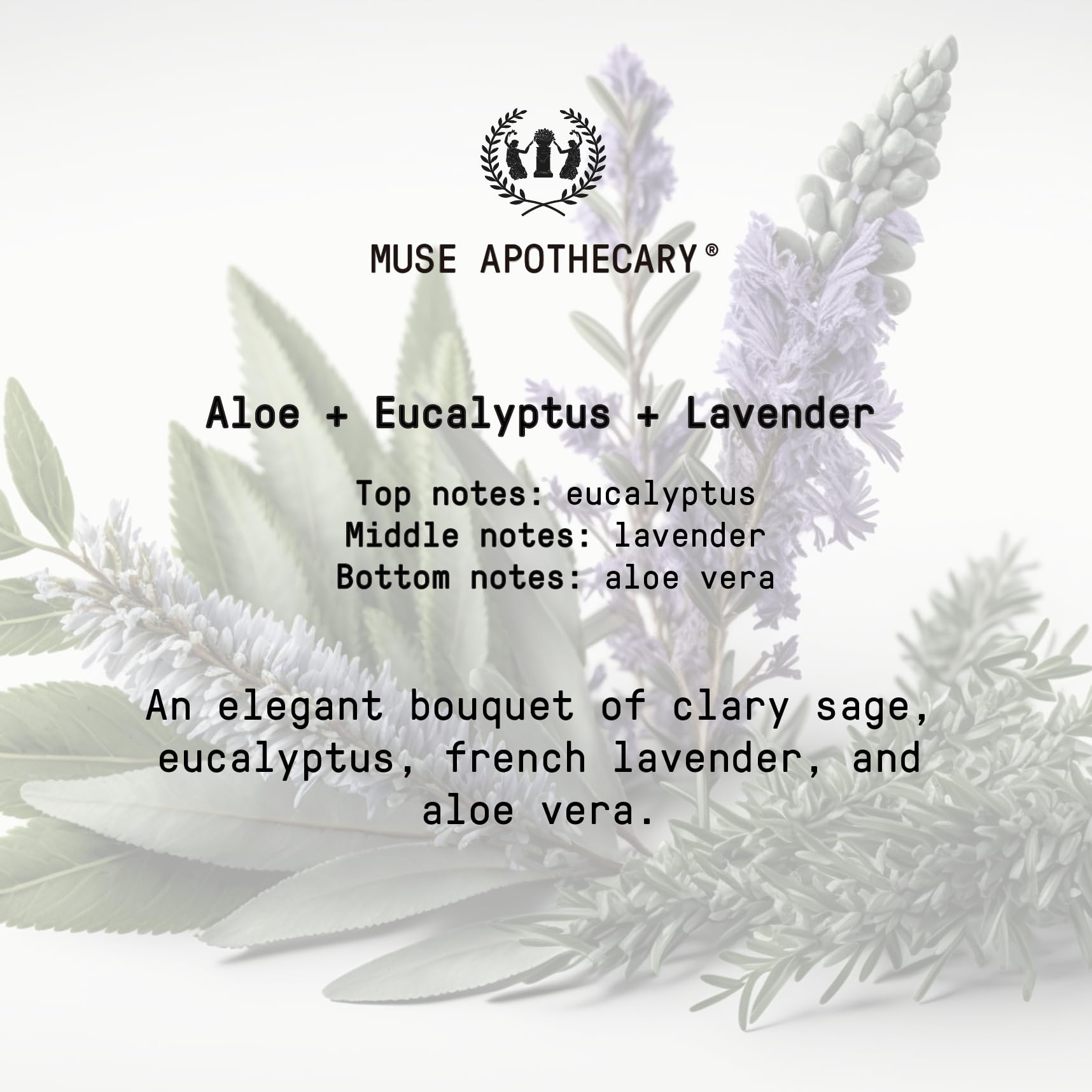 Muse Apothecary Hand Ritual – Aromatic Nourishing Hand Soap, Aloe, Eucalyptus & Lavender | 16 oz x3 Pack | USDA Biobased