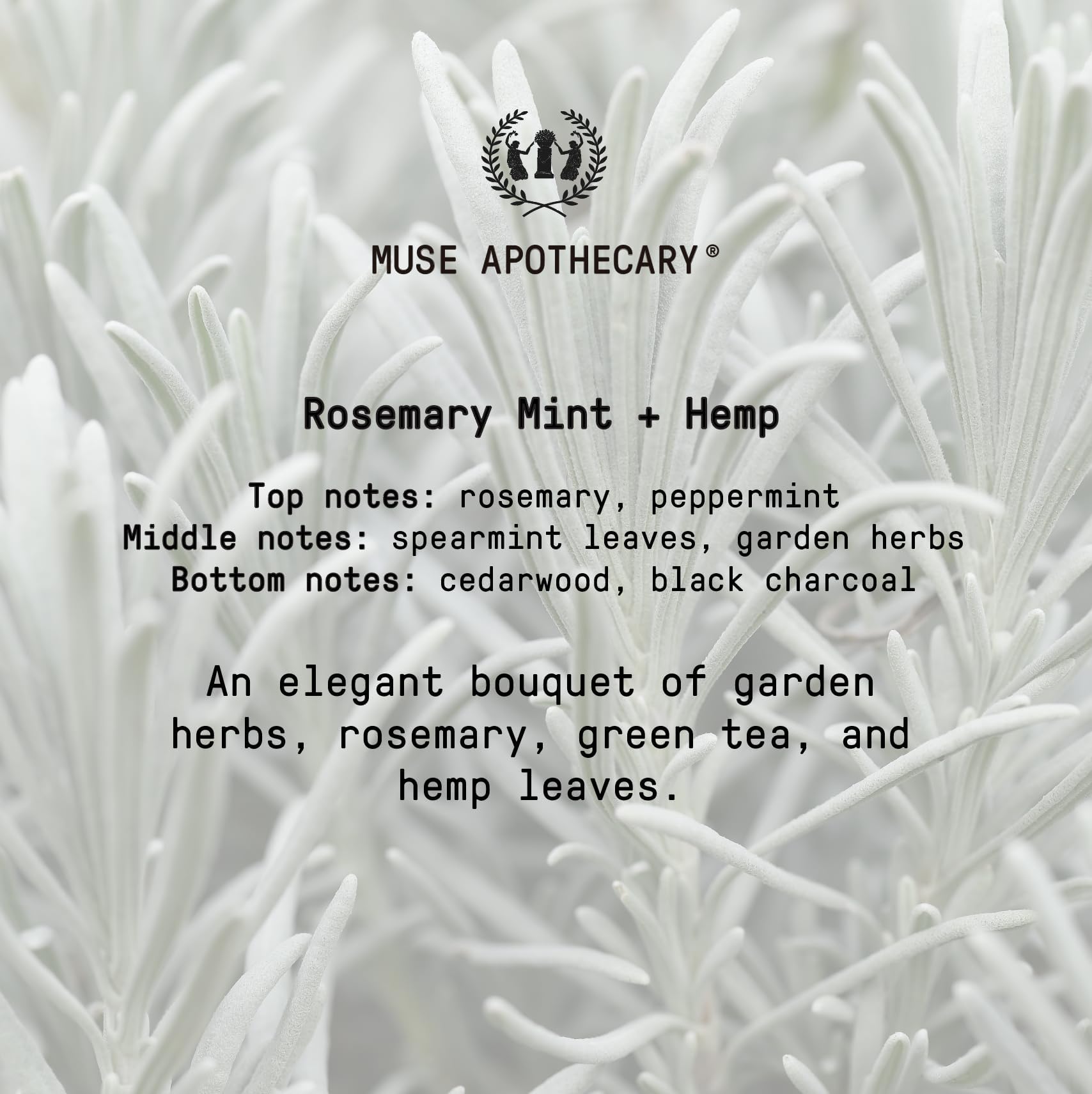 Muse Apothecary Hand Ritual – Aromatic Hand Soap with Rosemary Mint & Hemp (USDA Biobased, 16 oz, 3-Pack)