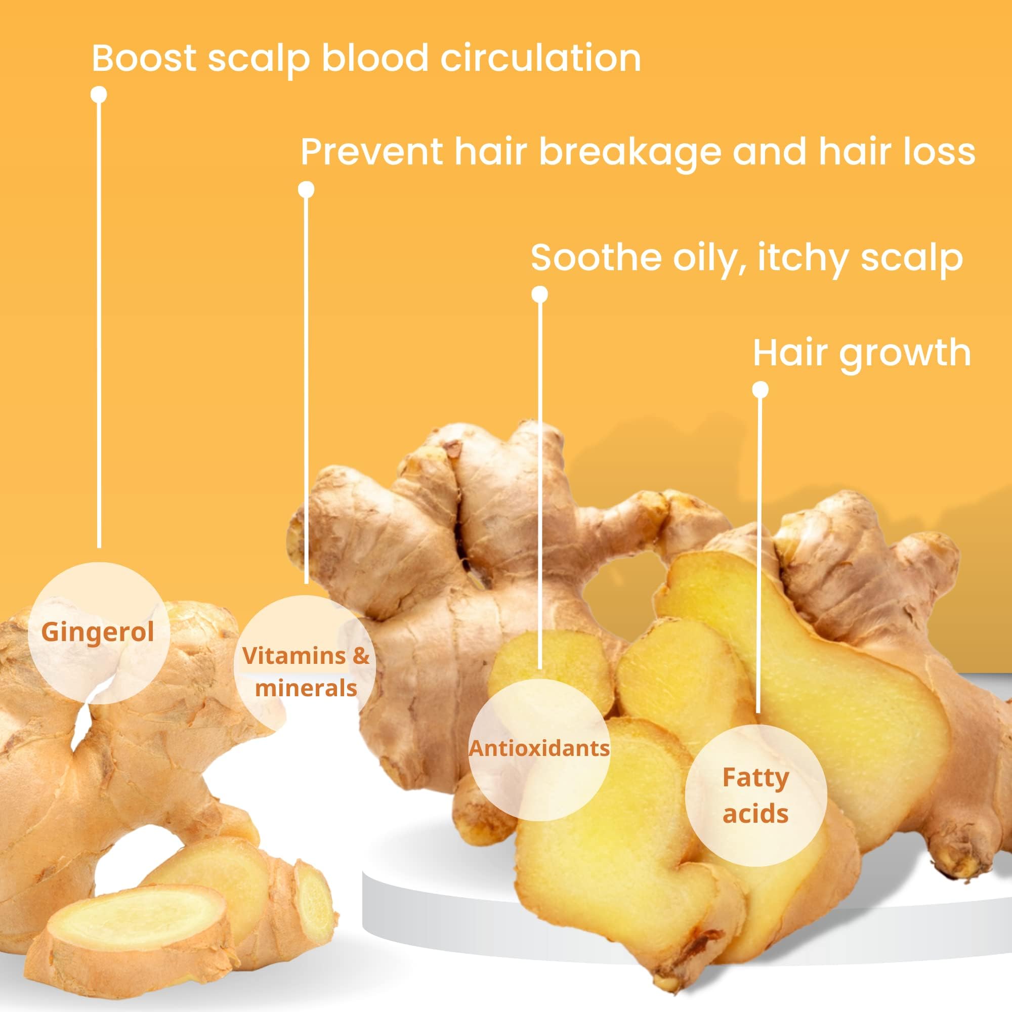 Muun Ginger Shampoo Bar Pack 3 – pH-Balanced, Sulfate-Free, Travel-Ready for Hair Growth & Strength