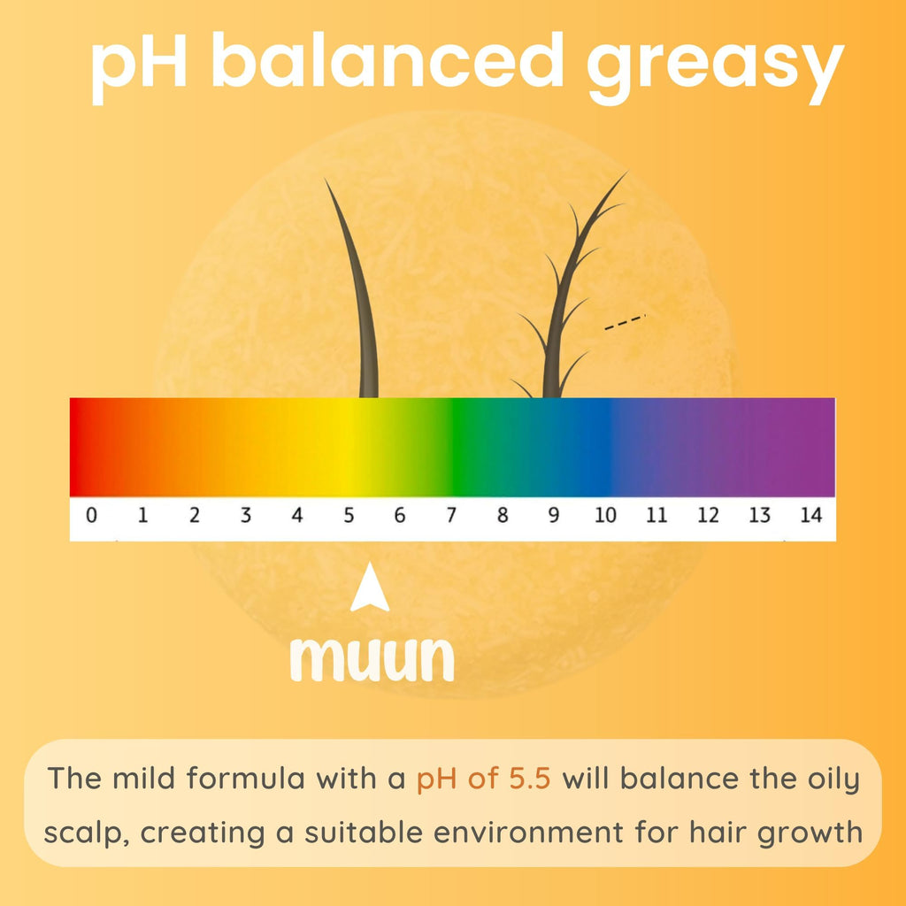 Muun Ginger Shampoo Bar Pack 3 – pH-Balanced, Sulfate-Free, Travel-Ready for Hair Growth & Strength