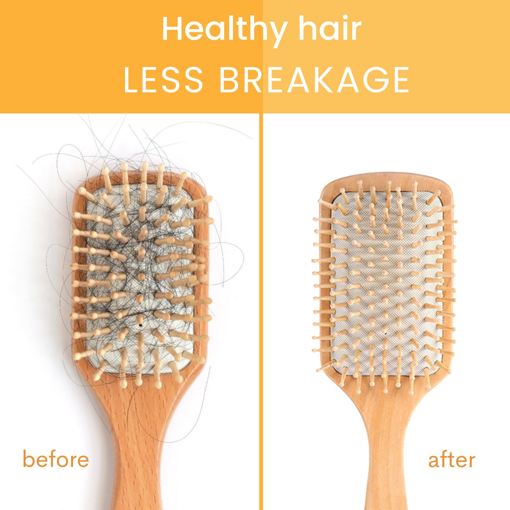 Muun Ginger Shampoo Bar Pack 3 – pH-Balanced, Sulfate-Free, Travel-Ready for Hair Growth & Strength