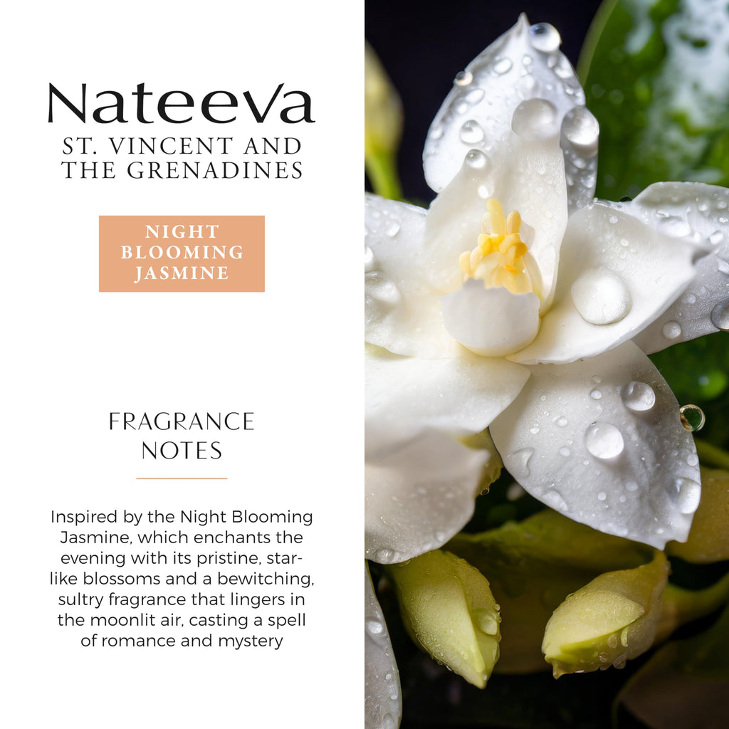 Nateeva St. Vincent Night Blooming Jasmine EDP – 100 ml