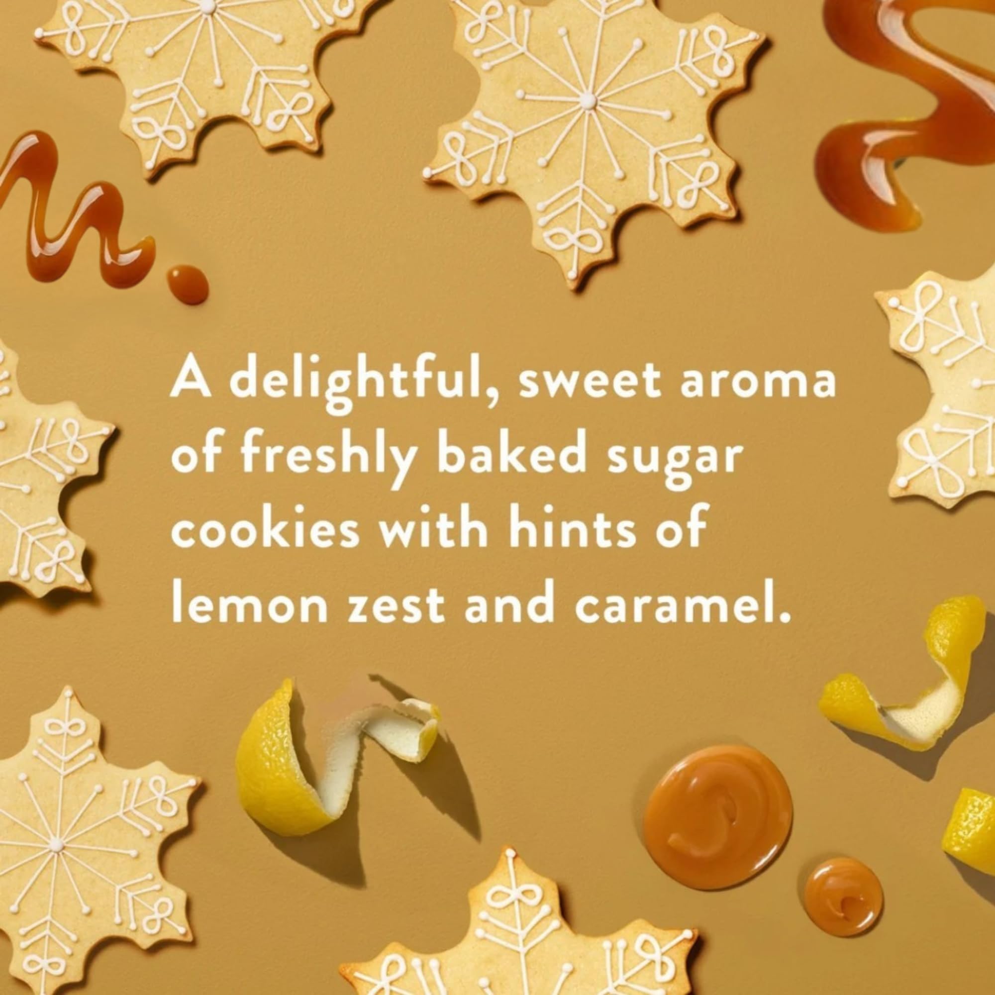 Native Holiday Hand Soap Set – Sugar Cookie & Winter Cashmere (2-Pack, 13 oz Each)