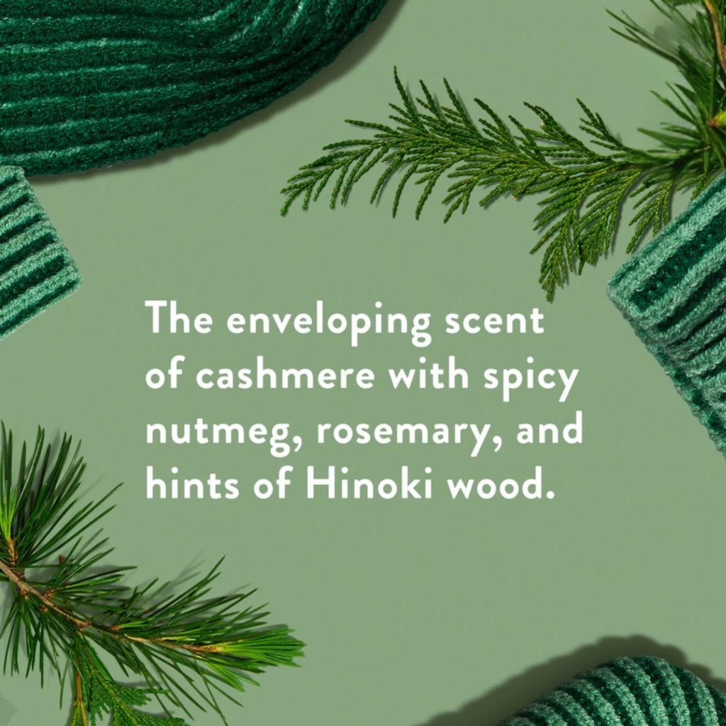 Native Holiday Hand Soap Set – Sugar Cookie & Winter Cashmere (2-Pack, 13 oz Each)