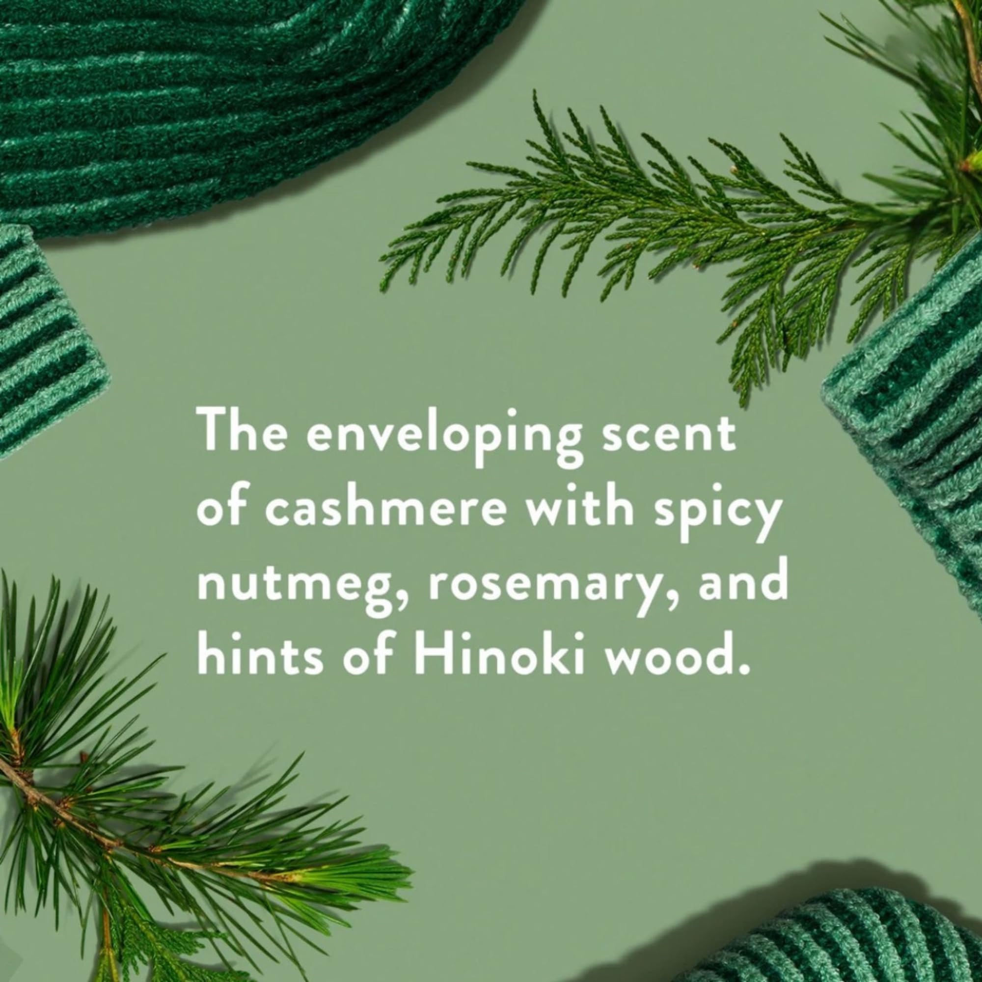 Native Holiday Hand Soap Set – Sugar Cookie & Winter Cashmere (2-Pack, 13 oz Each)