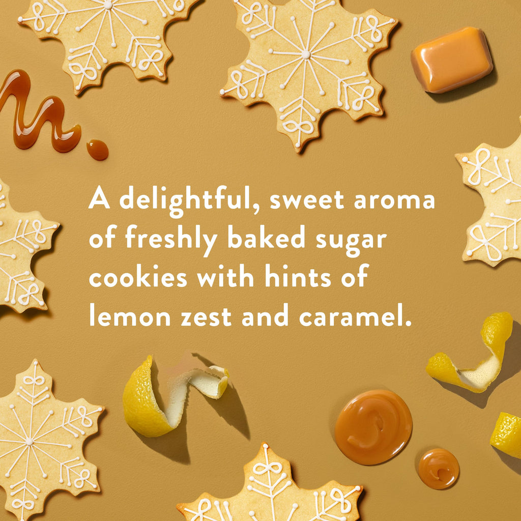 Native Deodorant Holiday Edition Sugar Cookie – 72-Hour Odor Control, Aluminum-Free for Women & Men