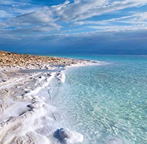 Natural Elephant Dead Sea Salt for Soaking & Bathing | 19 lb Fine-Grain Bulk Bag | 100% Natural & Pure
