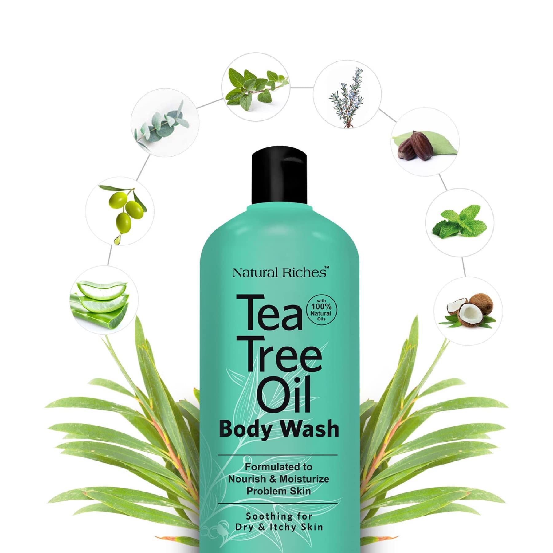 Natural Riches Tea Tree Body Wash for Men & Women – 16 oz, All Skin Types