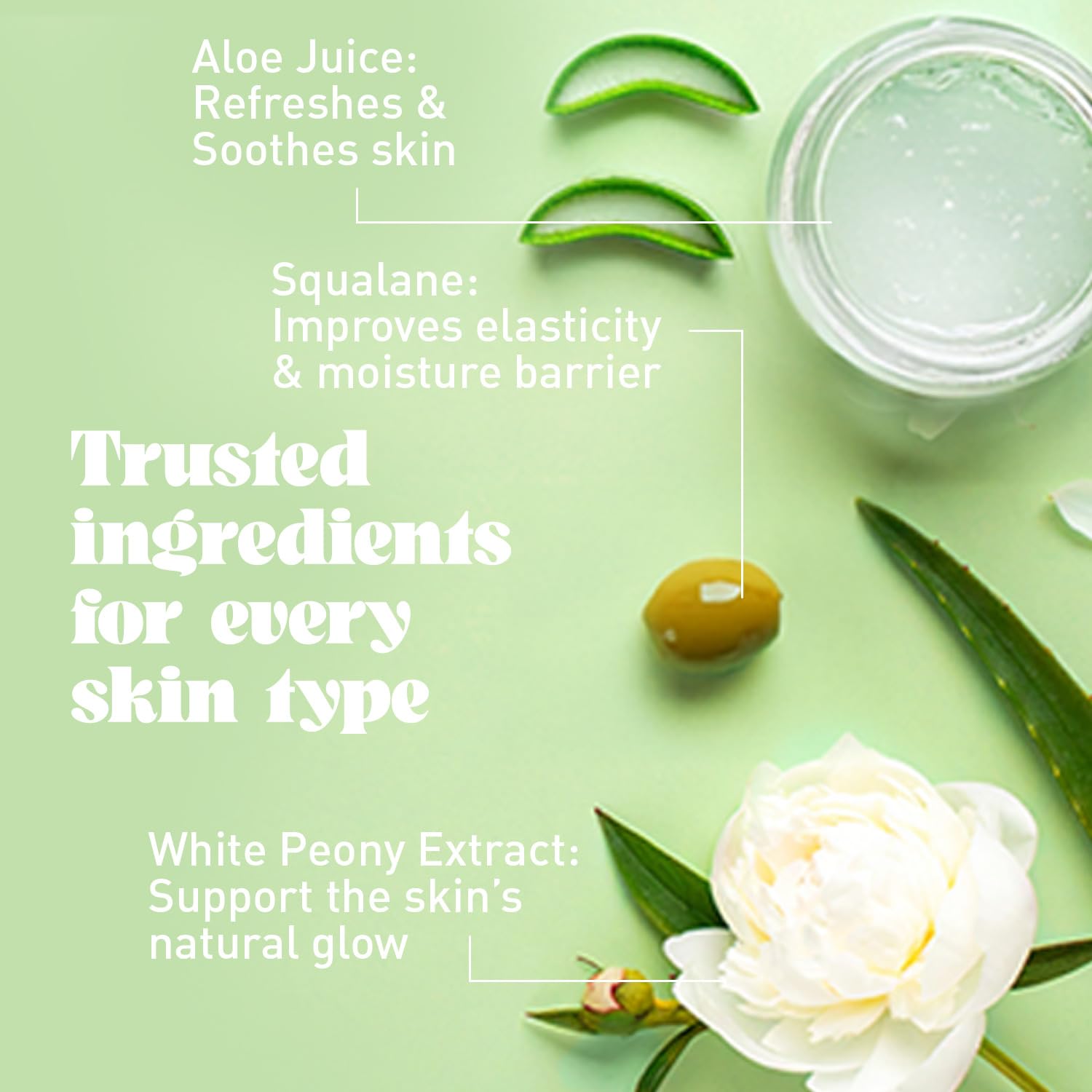 NATURE WELL Dreamy Radiating & Cleansing Body Wash | Aloe, Squalane & White Peony