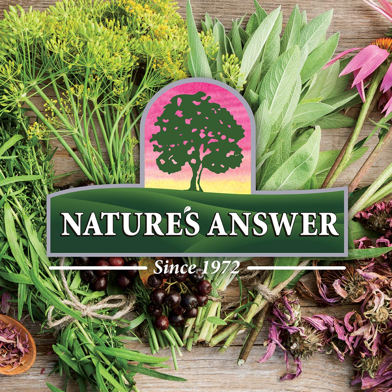 Nature's Answer Licorice Root Cream – Skin Tone Perfecting Moisturizer with 7% Licorice & Shea Butter – Alcohol & Paraben Free