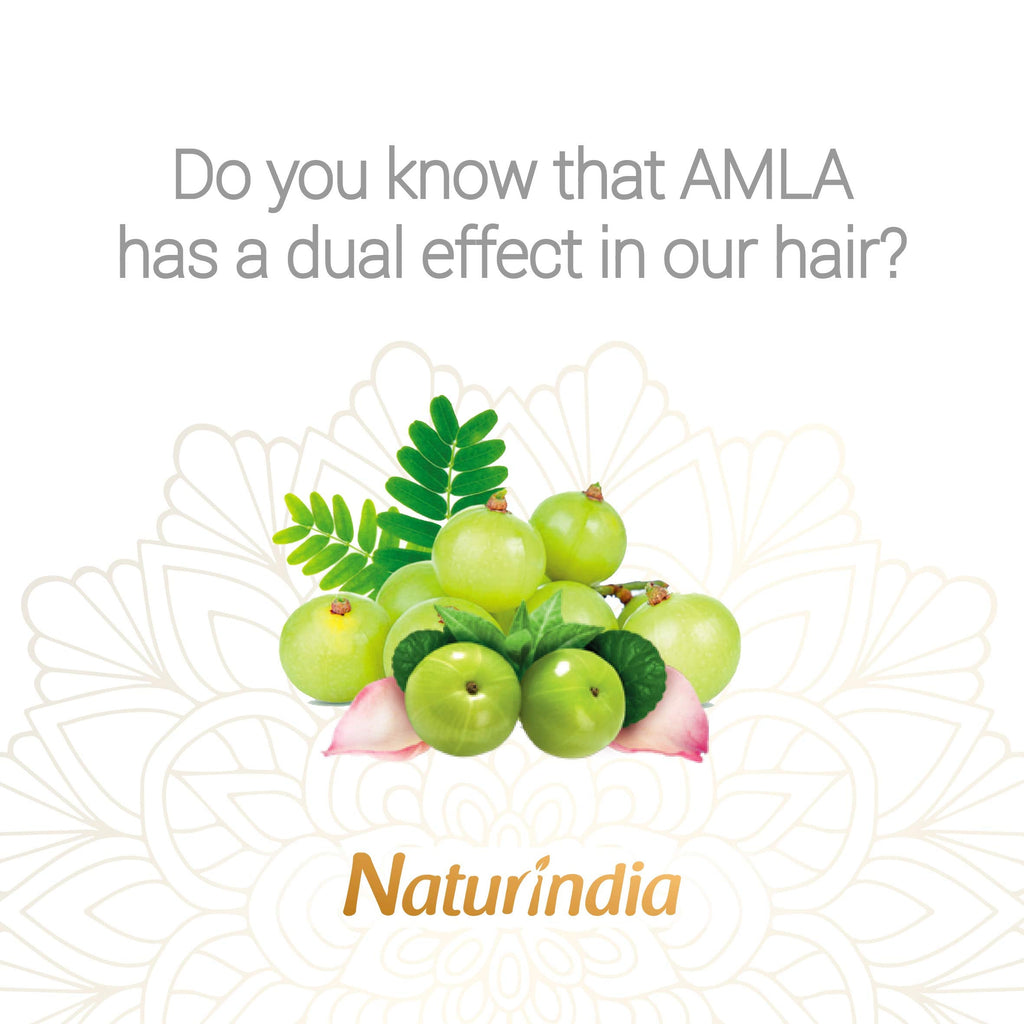 Naturindia Ayurvedic Amla Hair Growth Shampoo – Organic & Sulfate-Free