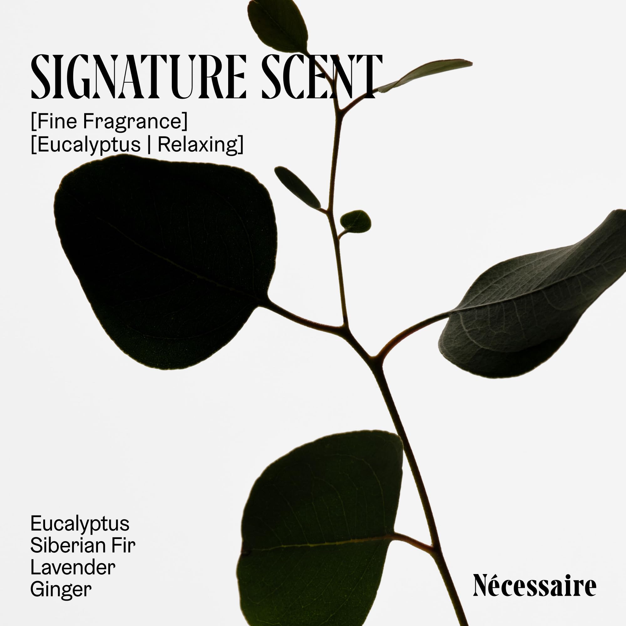 Nécessaire The Deodorant Eucalyptus — Aluminum-Free, Extra-Strength with Mandelic Acid (75 g/2.5 oz)