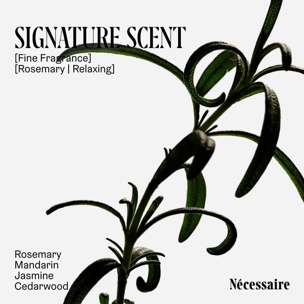 Nécessaire Rosemary Conditioner – Strengthening for Thinning Hair, Color-Safe