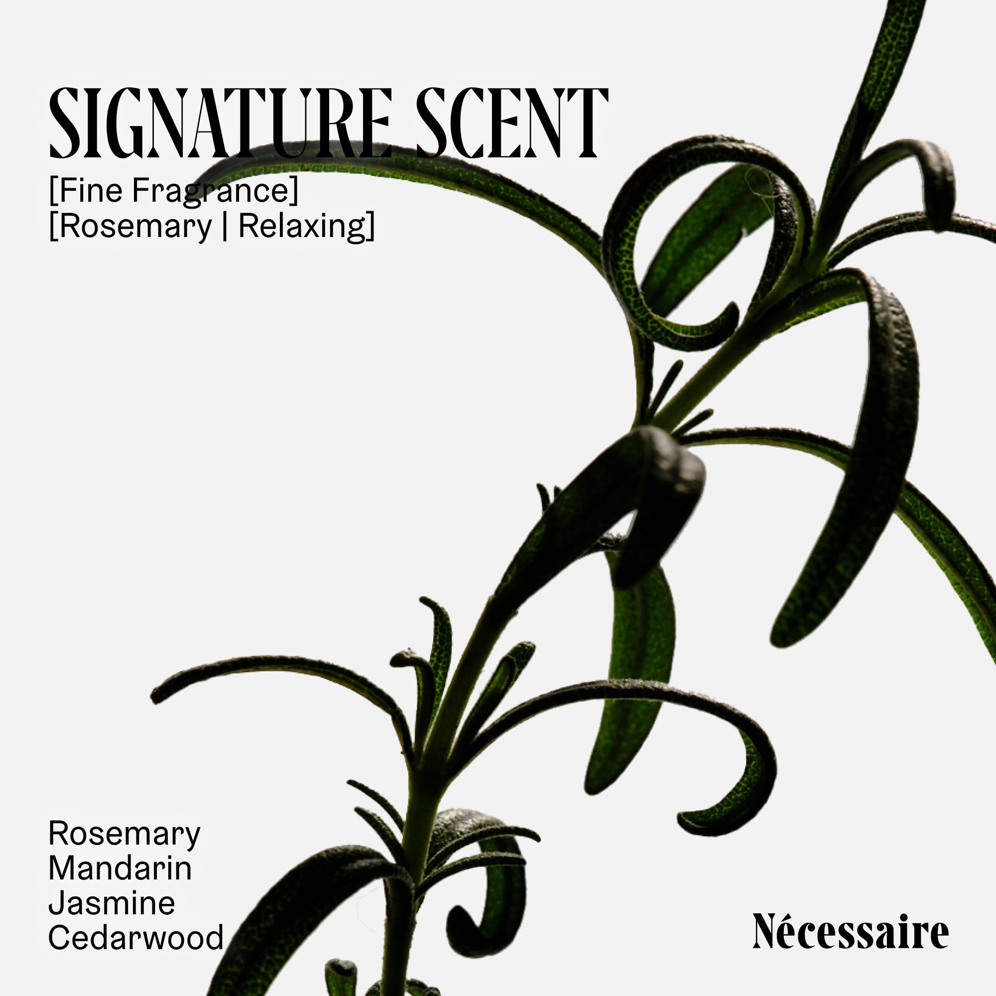 Nécessaire Rosemary Hair Duo | Strengthening Shampoo & Conditioner for Thinning Hair