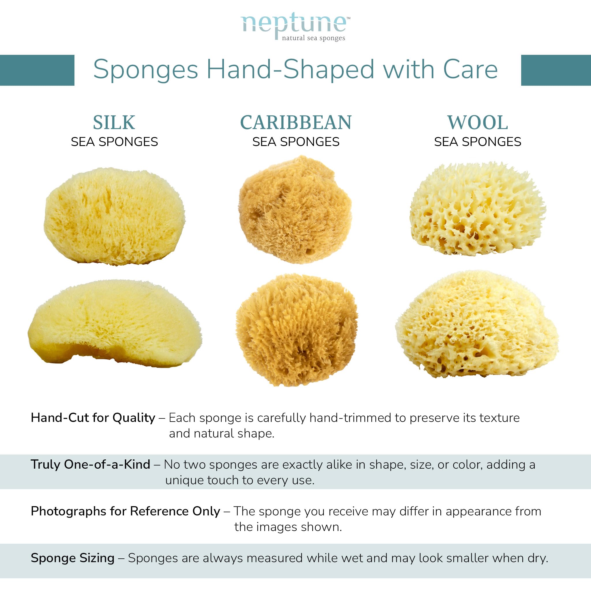 Neptune Caribbean Sea Sponge – Hand-Cut, Large (Pack of 2) | Natural Bath Sponge