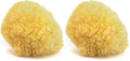 Neptune Caribbean Sea Sponge – Hand-Cut, Large (Pack of 2) | Natural Bath Sponge