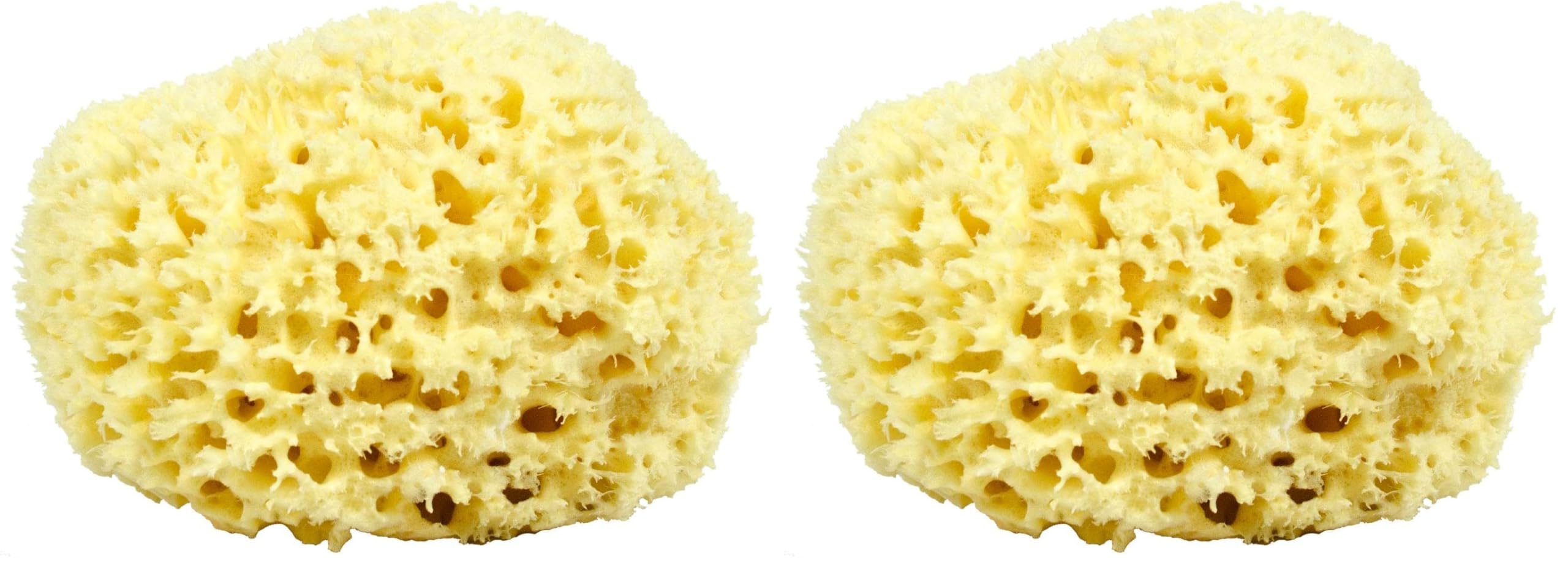 Neptune Natural Sea Wool Sponge – All-Natural Honeycomb Sea Sponge, Jumbo 7-Inch (Pack of 2)