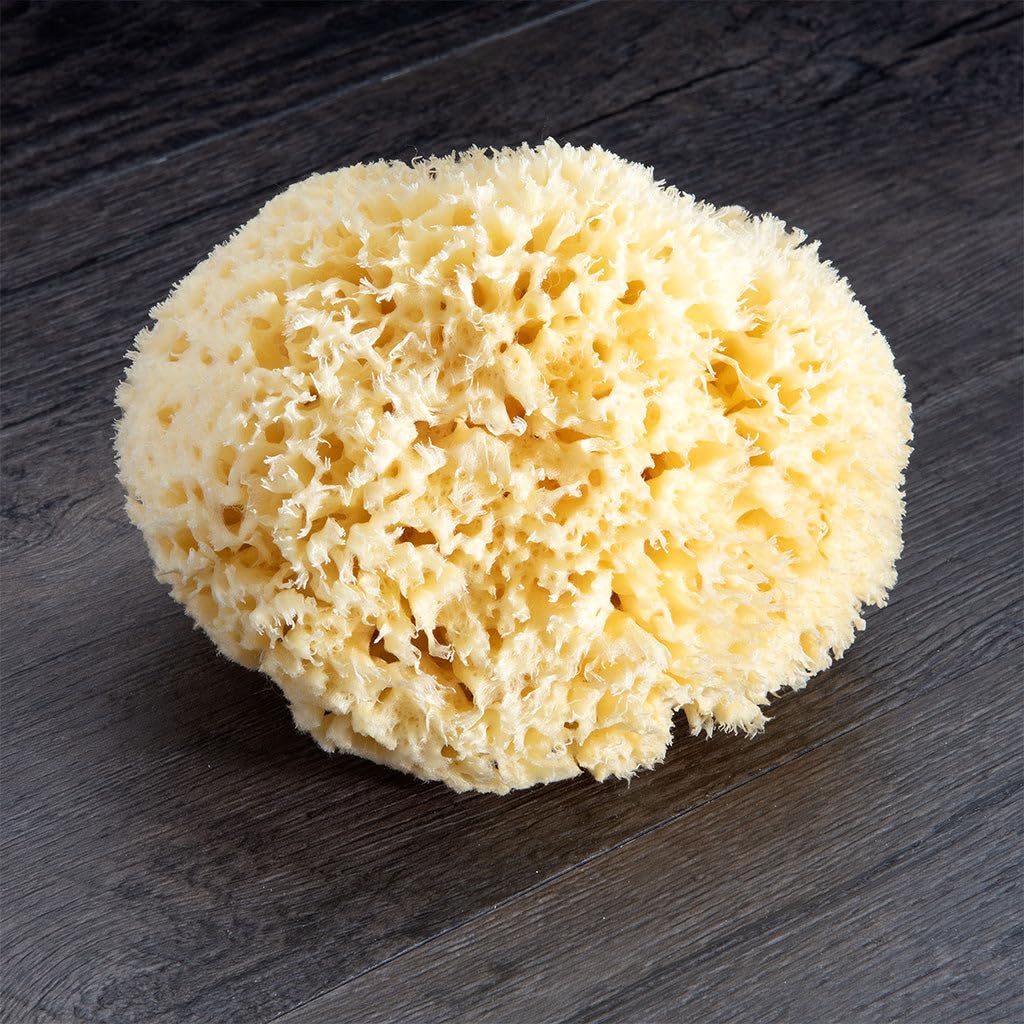 Neptune Natural Sea Wool Sponge – All-Natural Honeycomb Sea Sponge, Jumbo 7-Inch (Pack of 2)
