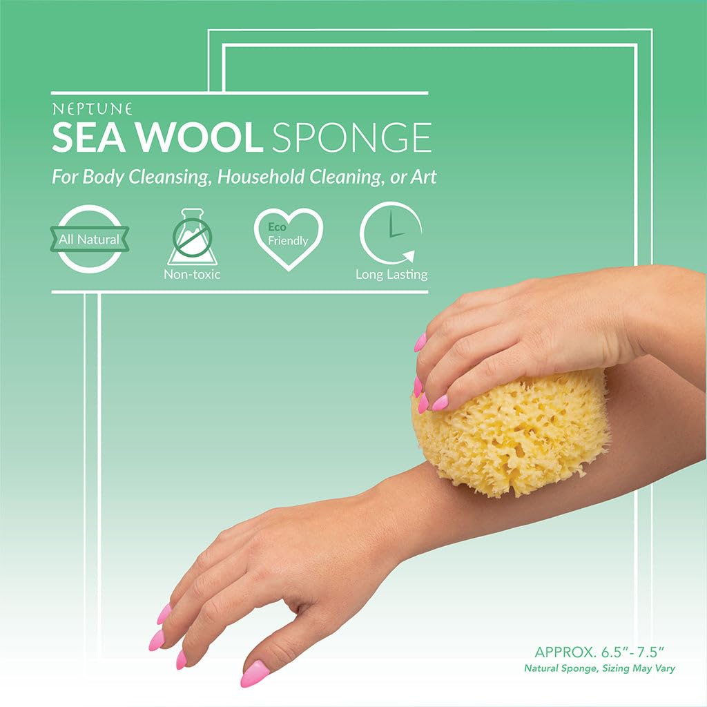 Neptune Natural Sea Wool Sponge – All-Natural Honeycomb Sea Sponge, Jumbo 7-Inch (Pack of 2)