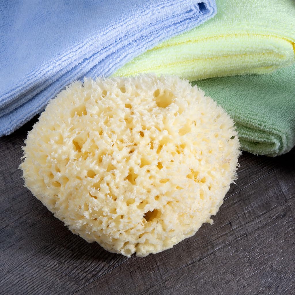 Neptune Natural Sea Wool Sponge – All-Natural Honeycomb Sea Sponge, Jumbo 7-Inch (Pack of 2)