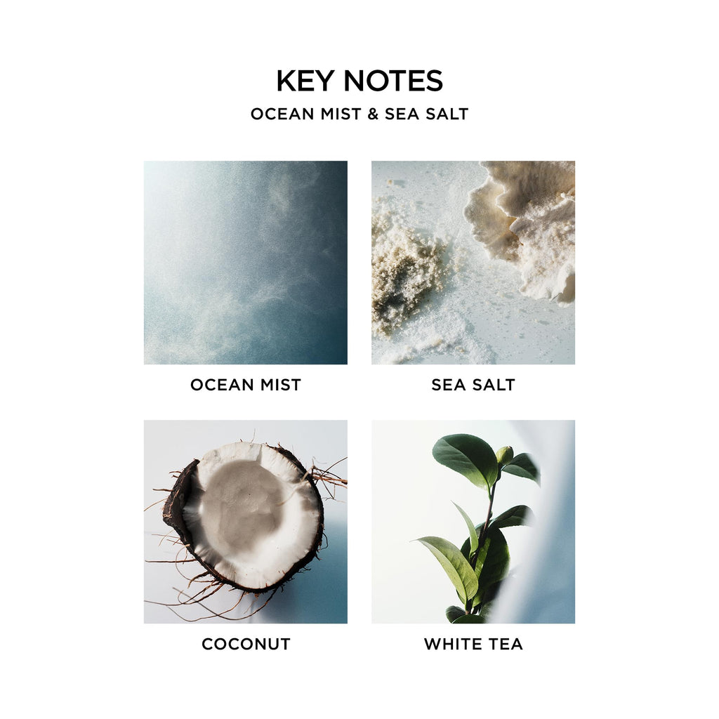 NEST New York Liquid Soap Set – Ocean Mist & Sea Salt (4 x 10 oz)