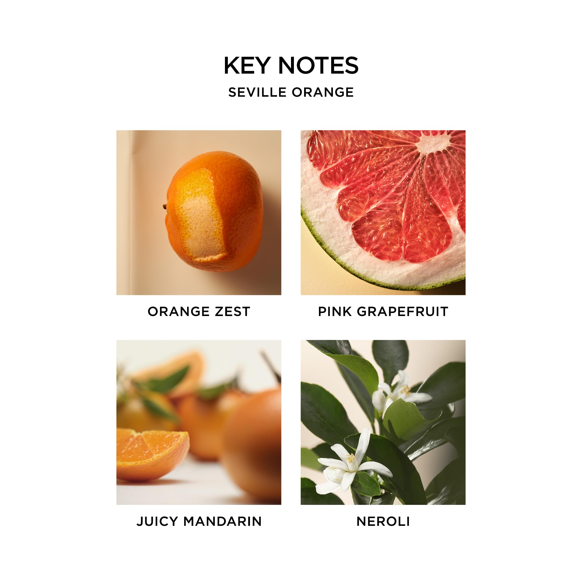 NEST New York Seville Orange Body Mist - 125 mL | Vegan & Cruelty-Free