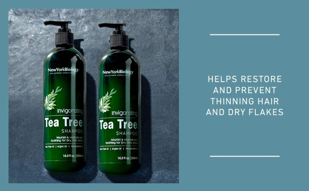 New York Biology Tea Tree Conditioner – Deep Cleanser for Dandruff & Dry Scalp – Hair Growth Support – 16.9 fl oz
